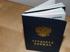Готовы ли россияне перейти на электронные трудовые книжки