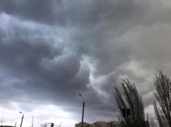 Неделя начнется с дождливой погоды