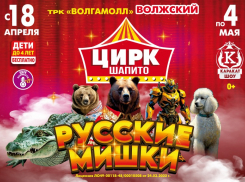 Красочное шоу в цирке-шапито с новой программой «КАРАКАТ-ШОУ» с 18 апреля в Волжском!
