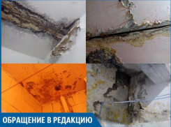 Директор УК только обещает нам нормальную жизнь, - волжанин