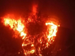 В Волжском выгорела «Приора»: подробности от очевидцев
