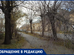 «Огромная сухая ветка упала на пешеходную дорожку напротив школы», - волжанка сигнализирует об опасности