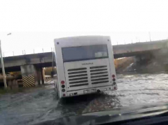 «Короче, океан»,- волжане оказались в пробке из-за лужи