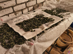 Крупная партия марихуаны изъята в Волжском: многократный рецидивист в гараже готовил наркотики на продажу