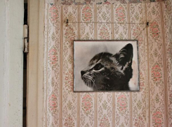 Продать квартиру без налога можно спустя 3 года в собственности