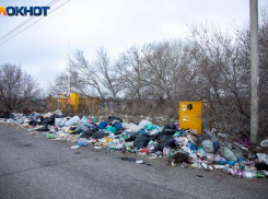 Сельские поля Волгоградской области превратили в свалку: выявлено 9 гектар захламлений