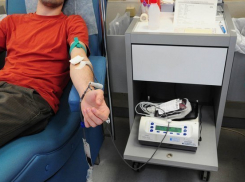 Опыт волжских доноров представят на всероссийском форуме 