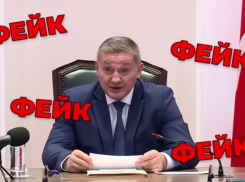 «Отмена авиации на юге»: в сети распространили ИИ-фейк с «заявлением» губернатора Волгоградской области