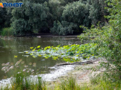 Непогода накроет Волгоградскую область до конца суток и в выходные