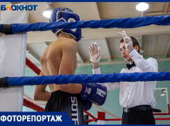 16 волжан победили в открытом турнире по кикбоксингу: фоторепортаж