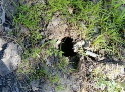 Вандалов разыскивают за вознаграждение в Волжском