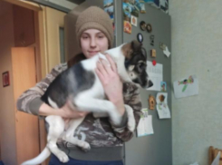 Собака запрыгнула в машину к незнакомцу: он ищет ее хозяев 