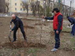 Зеленый фонд Волжского продолжают пополнять новыми насаждениями