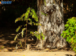 Последняя пятница сентября будет по-осеннему теплой