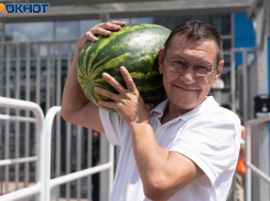 Волжан предупреждают: июньским арбузом можно отравиться