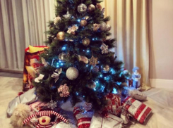 Известная волжанка Юлия Ковальчук призналась, что ждет Новый год с особенным чувством