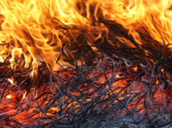 В Быковском районе сгорели запасы сена