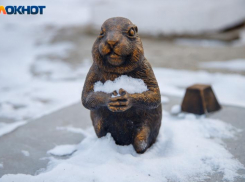 Звезды советуют волжанам управлять своими эмоциями: астрологический прогноз на неделю