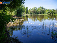 В четверг солнце будет прятаться за тучами: прогноз погоды в Волжском
