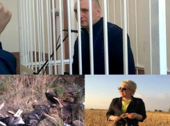 Детство Масленникова, убийство собак и доход Ирины Гусевой: 19 апреля в Волжском
