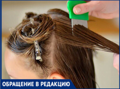 «Ребенок приехал из лагеря с головой полной вшей»,-волжанка