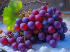 Укрываем виноград к зиме: советы для волжских дачников