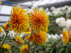 День Мины Красноречивого: традиции, приметы и запреты