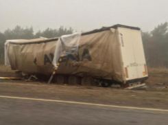 На трассе «Волгоград-Москва» случилось жуткое ДТП с участием двух фур