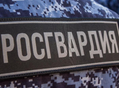Мошенницу в Волжском искали полиция и Росгвардия