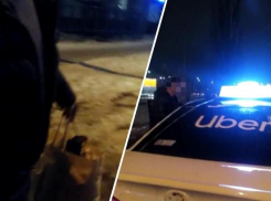 В Волжском водитель такси выгнал пассажирку из салона за советы: видео