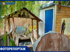Святой источник скрывается под ивами в Волжском: фоторепортаж