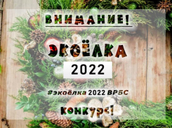 Волжан приглашают принять участие в онлайн-конкурсе «Экоелка-2022»