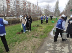 В Волжском началась весенняя акция по озеленению