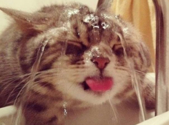 Вездесущую жару спрогнозировали в пятницу в Волжском