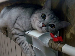 В Волгоградской области отопительный сезон под угрозой срыва