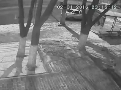 На севере Волгограда женщина угодила под троллейбус на остановке