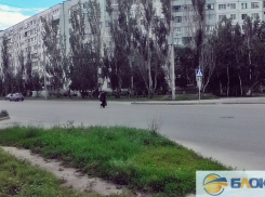 Волжский ставит рекорды по количеству ДТП с участием пешеходов