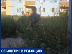 «Траву не косят, скоро не найдем в ней своих детей», - волжанка