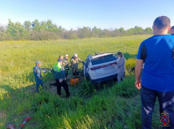 Трое детей пострадали в страшной аварии на трассе в Волгоградской области