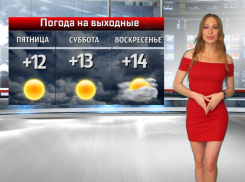 Солнце отгонит депрессивные мысли: прогноз погоды на выходные в Волжском