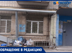 «Зловонный запах, мухи, тараканы»: волжанка пожаловалась на УК «Лада-Дом»