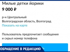 Мошенник хотел развести волжанку на деньги и пообещал «вдуть»