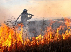 Огненная опасность сохранилась в Волжском, несмотря на прошедший дождь