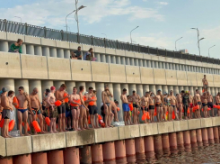 Более 100 человек и собака преодолели Волгу: волжанин о грандиозном заплыве 