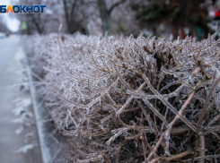 Снегопад и мороз до -16: в Волжский пришла холодная зима