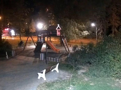 В Волжском похитительница качелей подбросила их обратно в сквер: видео