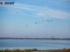 Умеренная температура ожидает волжан в понедельник