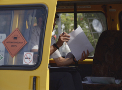 Волжане могут не ждать маршруток до конца мая