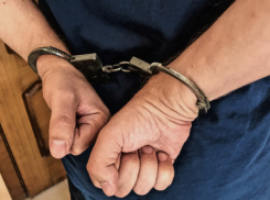 По подозрению в убийстве пенсионера в регионе задержали молодого пастуха