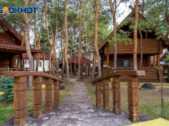 «Сосновый бор» закрыли в Волгограде: месть власть имущих?